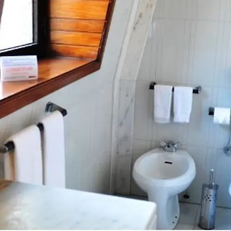 Hotel Domus 3*