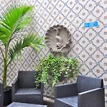Domus فندق 3*